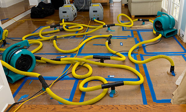 Professional Water Damage Restoration technician working in Granville, TN